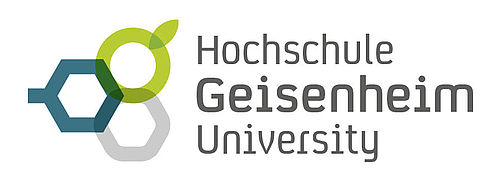 HSGM Logo